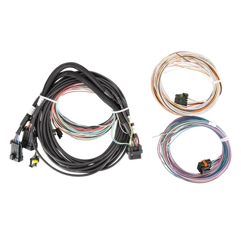 Holley EFI Pro Dash Standalone Service Harness