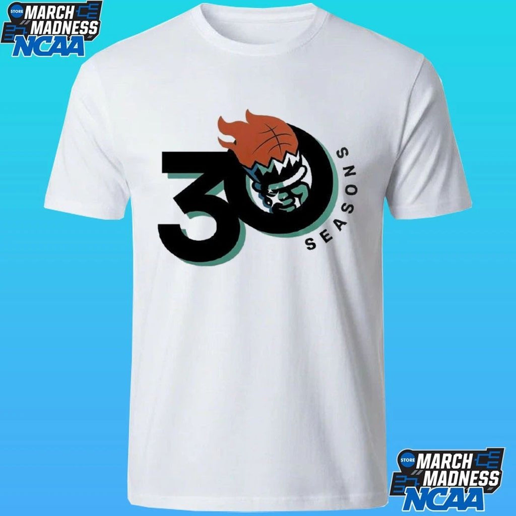 New York Liberty 30 Seasons Of Lighting It Up Shirt