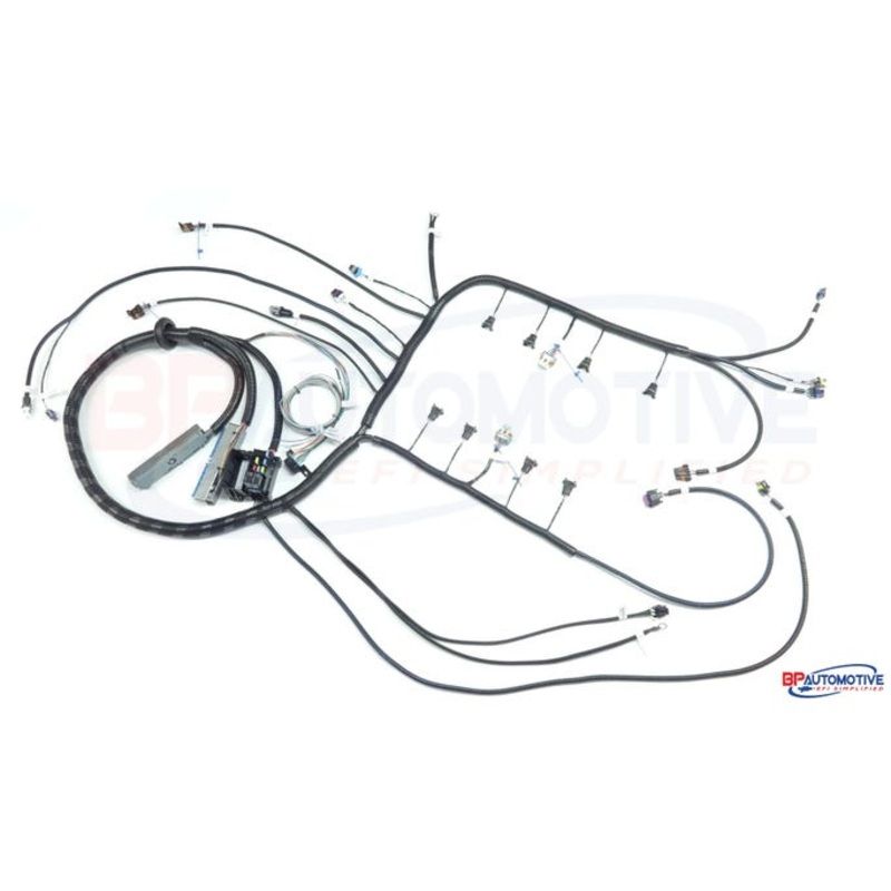 Bp Automotive Standalone Harness – 97-06 LS1 – Dbc – Non-electric Transmission