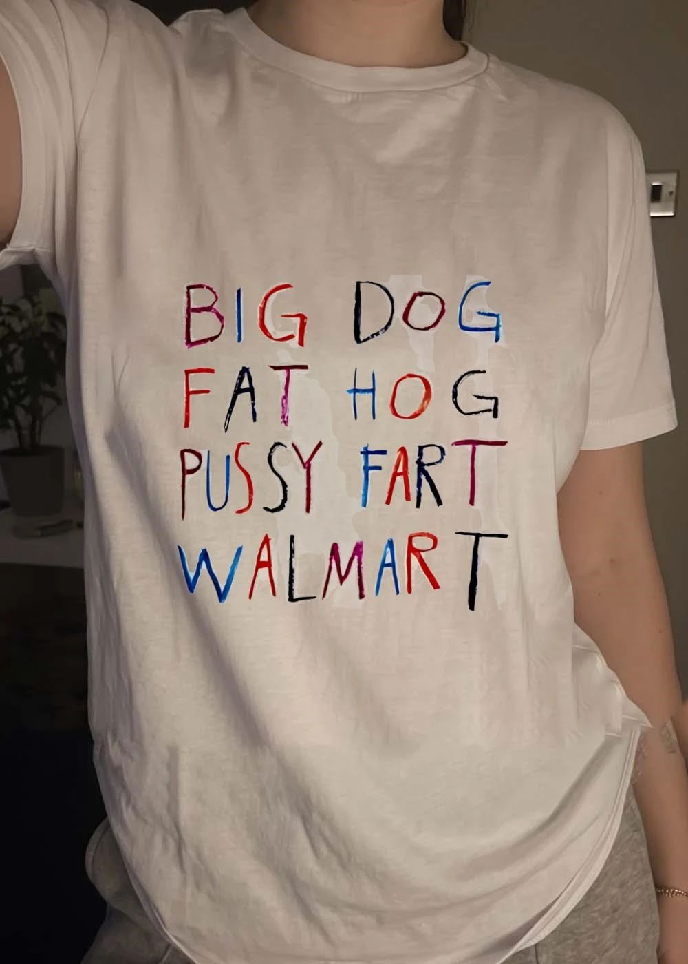 Big dog fat hog pussy fart walmart shirt